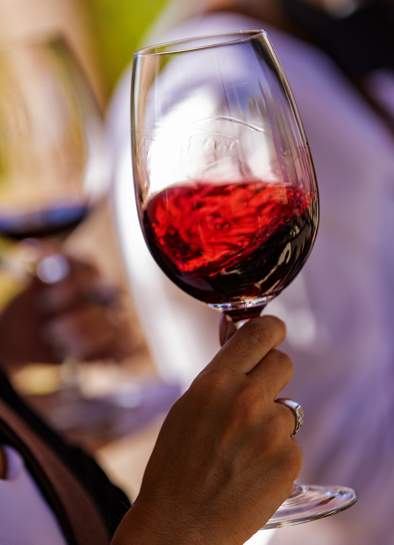 Viñedos y rutas del vino en Maipú